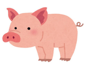 日本では猪年、その他は豚年