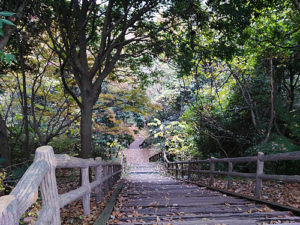 金沢自然公園（しだの谷）