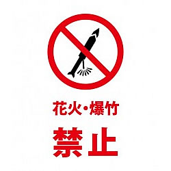 爆竹と花火は禁止でした。